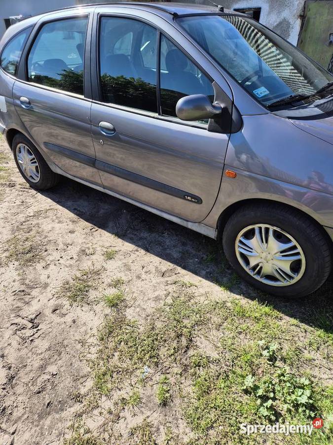 Sprzedam mazowieckie Brudzeń Duży