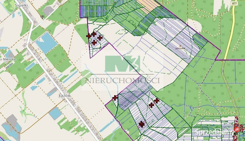 DO SPRZEDAŻY DZIAŁKI ROLNE W KULNIE Kulno