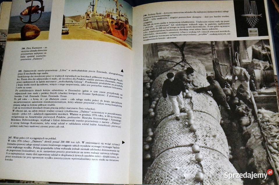 Gdynia Maria i Andrzej Szypowscy Chełm