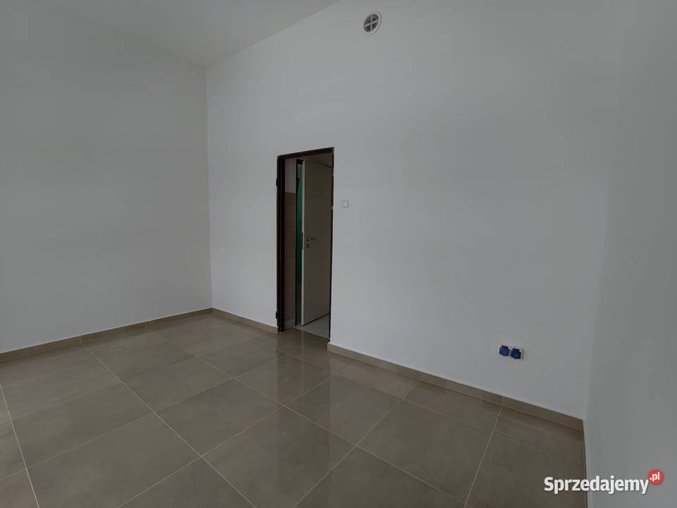 lokal do wynajęcia