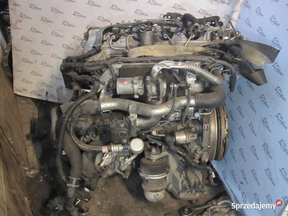 Lexus IS220 22 DCAT 2AD 177 156 silnik bez Kielce