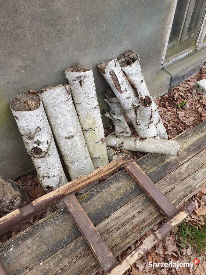 Drewno brzozowe na opał dekor