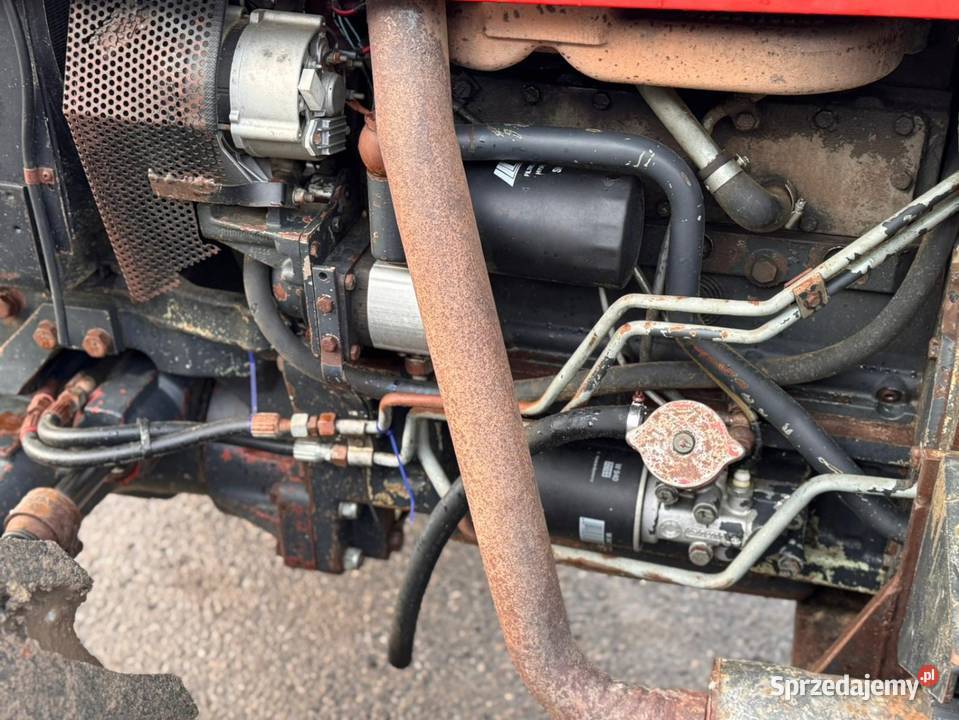 Ciągnik traktor steyr 8095 chmielowy sadowniczy Kłodnica