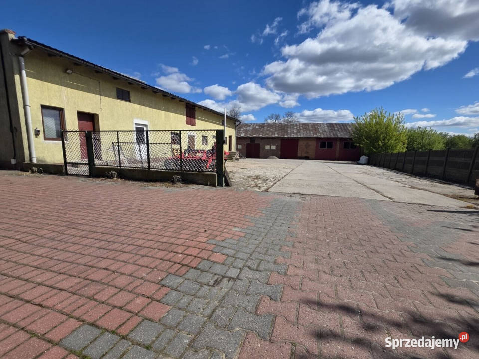 Dom wolnostojący Kowale 290m2 wolnostojący Sprzedaż Domy