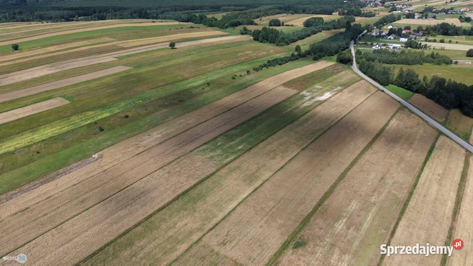 sprzedaży działki Bieliny 17918m2 woda