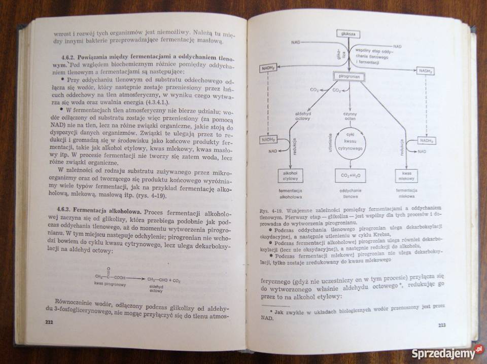 Witold Czerwiński Fizjologia roślin Parczew