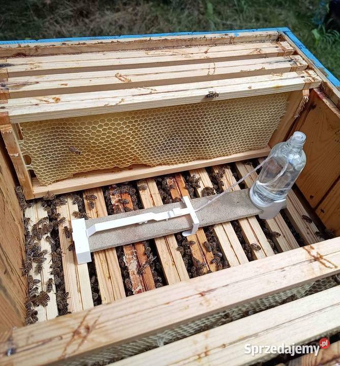 Parownik kwasu mrówkowego do pszczół