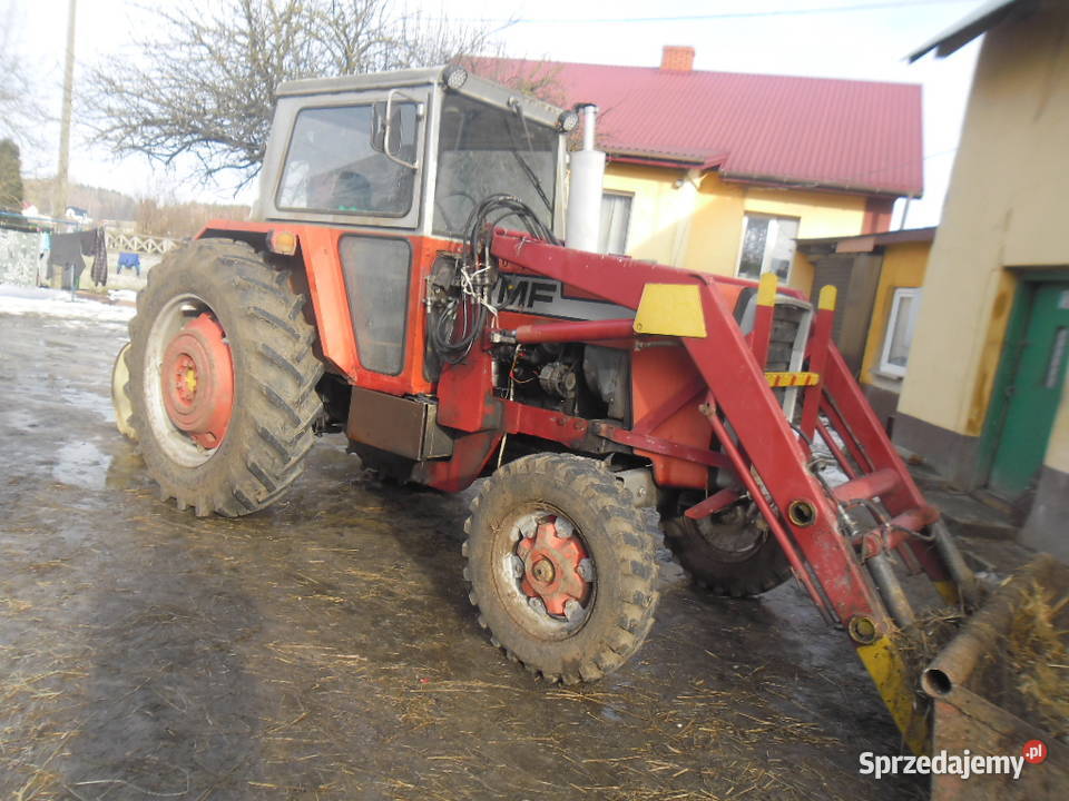 Ciągnik rolniczy MF 595 Pierzchnica