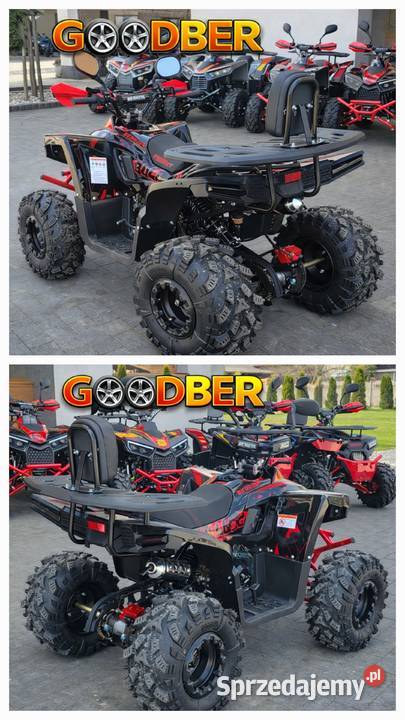 Quad Berreta Scream Bulldog 120 ccm Gwarancja