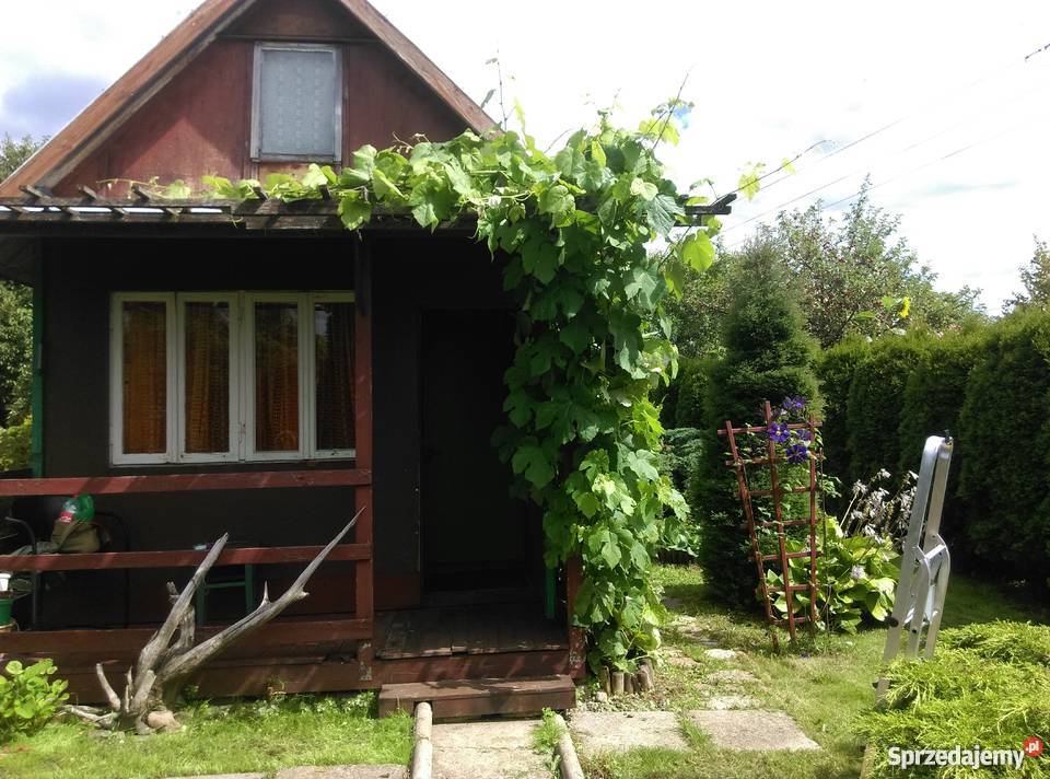 Sprzedam działkę ogrodową na Malwa Sianożęć Suwałki