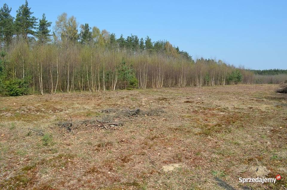 działki rekreacyjne utwardzona sprzedam