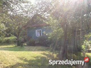 Lesniczówka 55 Krakowa 1417zł/m2 Łomna