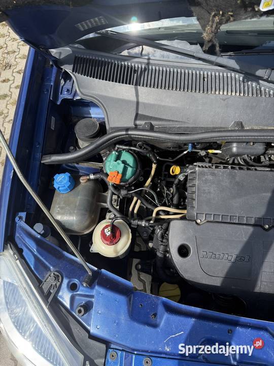 Fiat Doblo Gniezno