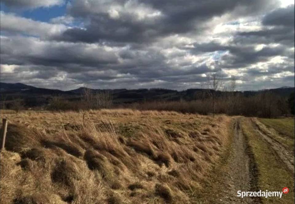 Działka granicy z Czechami RATY rolna Cieszyn sprzedam