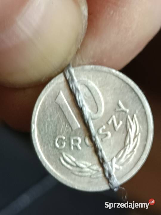 Sprzedam 10 gr 1980 r Chełm