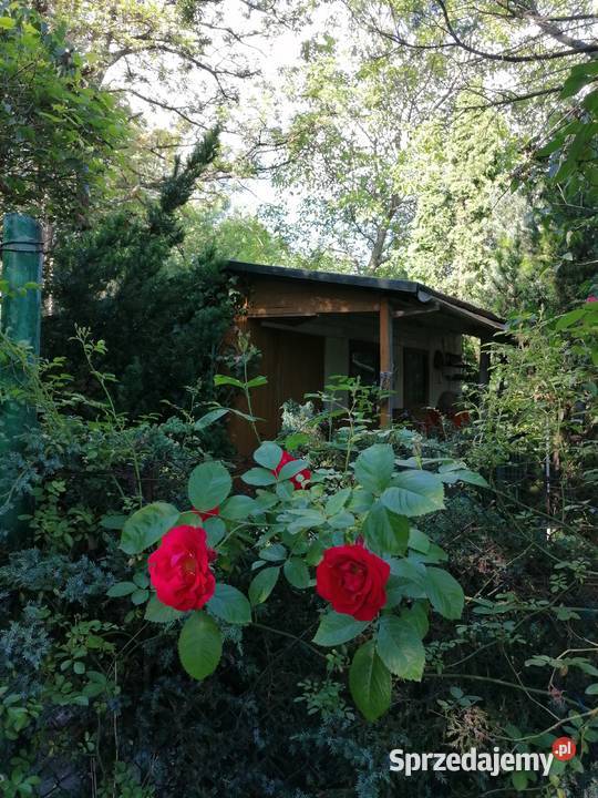 Sprzedam działkę ROD 400 m Bemowo Dom i Ogród mazowieckie Warszawa
