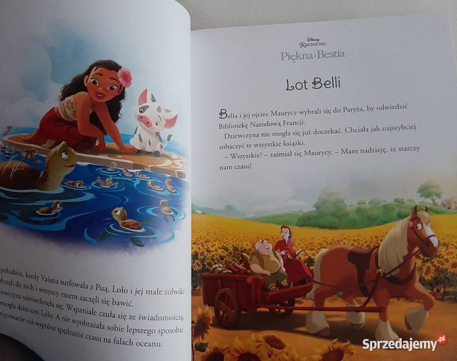 Disney Księżniczka Najpiękniejsze opowieści Zabrzeg