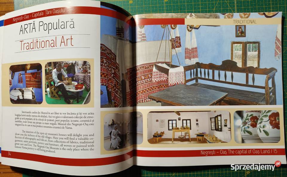 Przewodnik Rumunii S Bonifaciu Sport i Turystyka twarda sprzedam