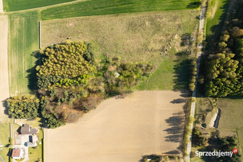 Działka budowlano rolna Sucha Gmina Trzyciąż 13654m2