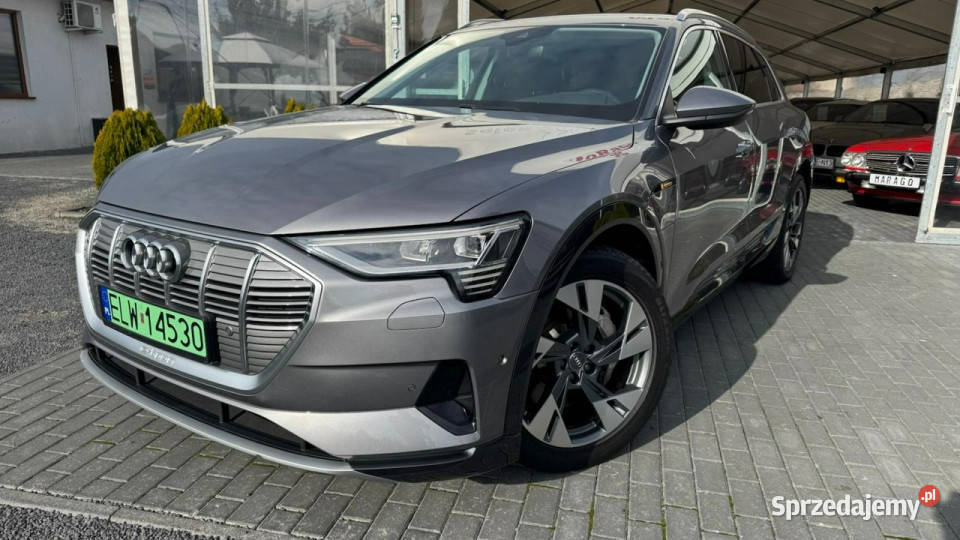 Audi etron e-tron Zduńska Wola
