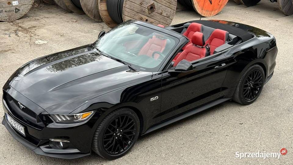 Mustang Europa Szwajcaria Lublin