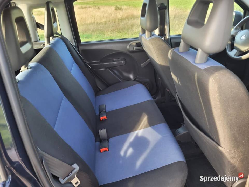 Fiat Panda 2011 13 Multijet Sprawna Ekonomiczna diesel