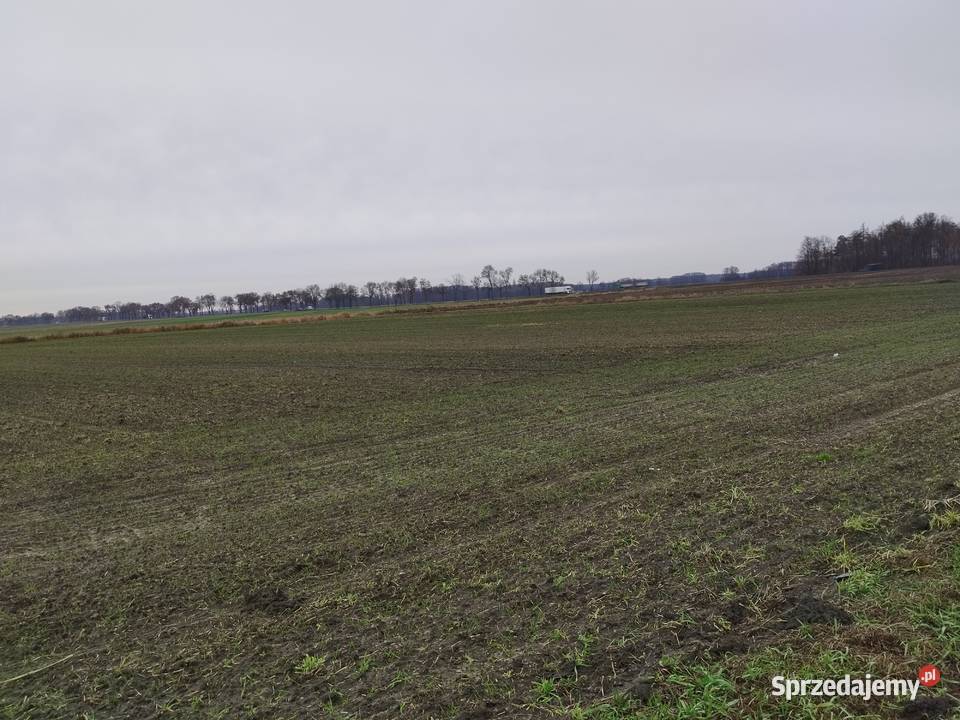 Sprzedam działkę rolną inwestycyjna z mazowieckie Krzesk-Majątek