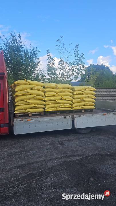 Owies jary Pellet około 50 ton Odmiana Bingo i Turów