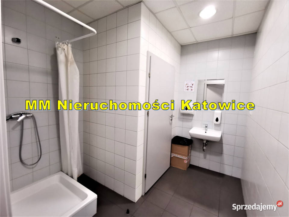 Hala 2 doki brama poziom 0 biura socjal Chorzów