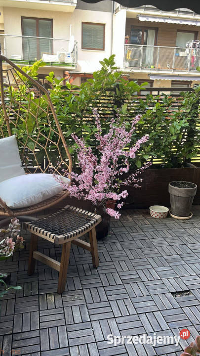 sprzedaży mieszkania Wrocław Semaforowa 596m2