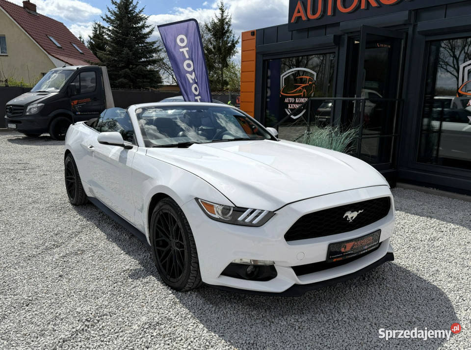 Ford Mustang Skórzana tapicerka Podgrzewane kujawsko-pomorskie Bydgoszcz