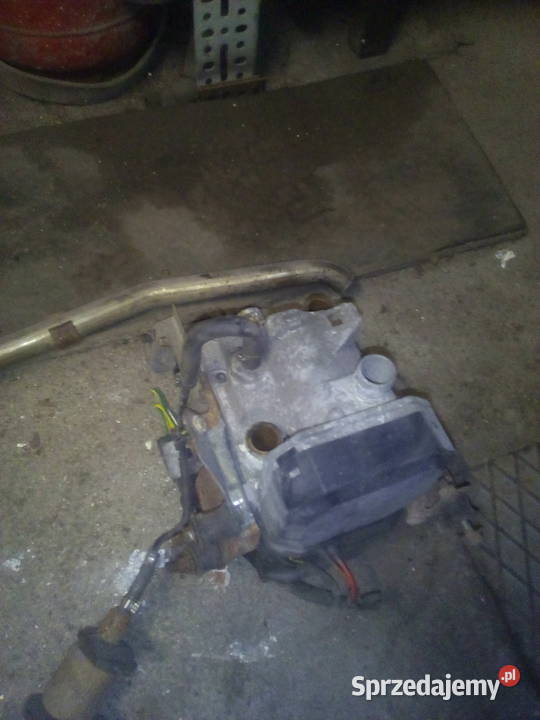 Vebasto mokre kujawsko-pomorskie sprzedam