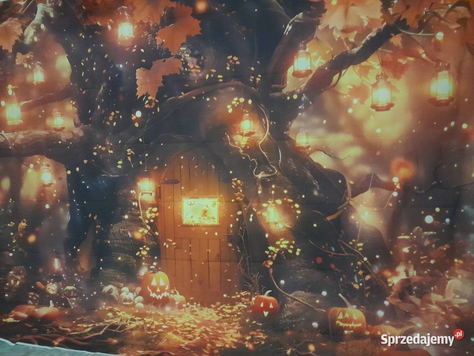 Tło Plakaty Szczytno