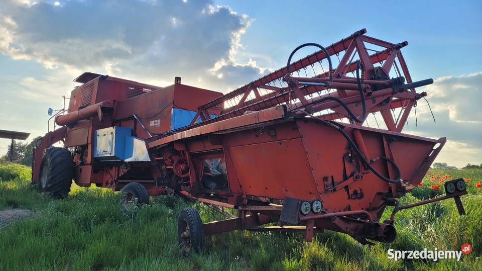 Bizon ZO56 Płock