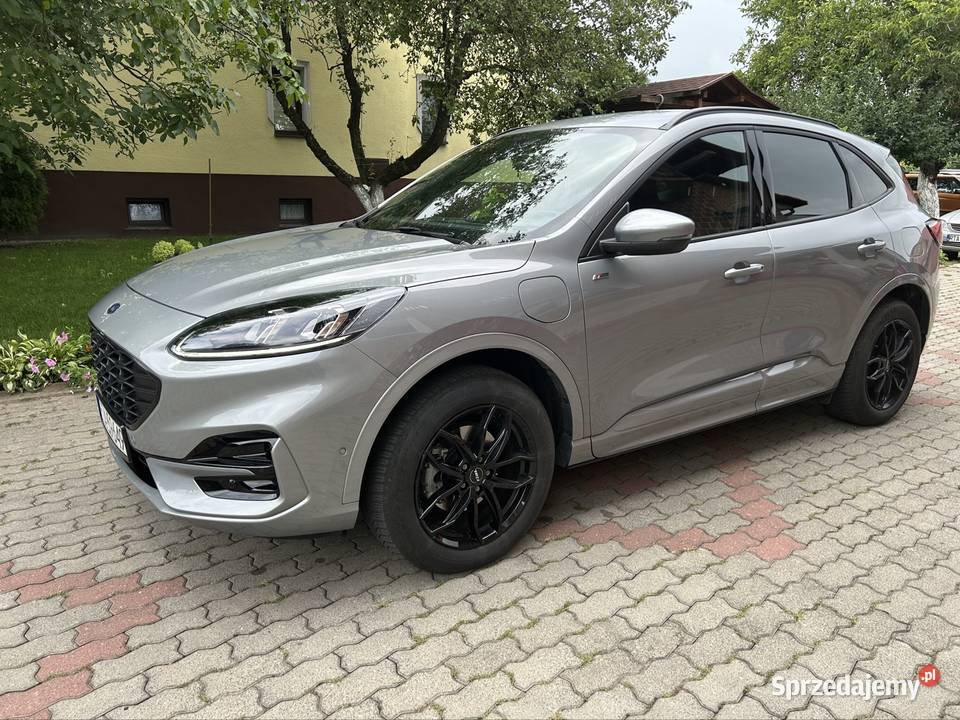 Ford kuga 25 hybryda Plugin Stline 2023 reflektory ksenonowe Gorzyce