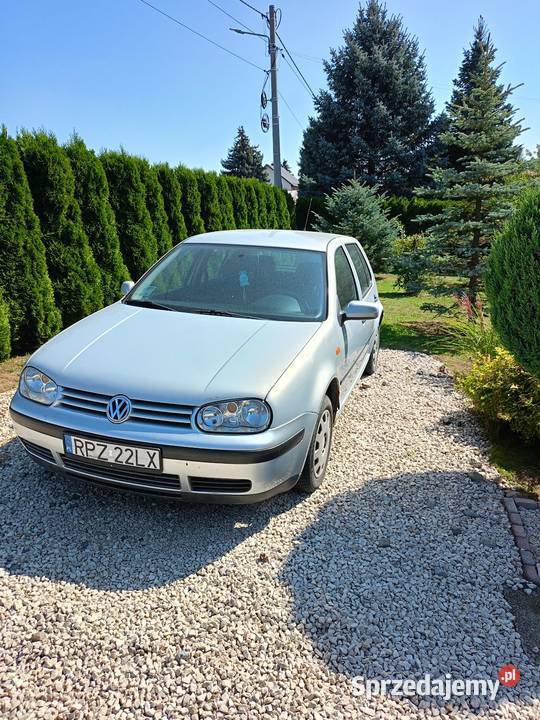 Sprzedam Golfa 4 19 SDI Hatchback Golf