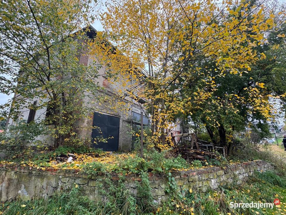 dom budynek Raciborowicedo sprzedaży wynajmu Raciborowice Dolne