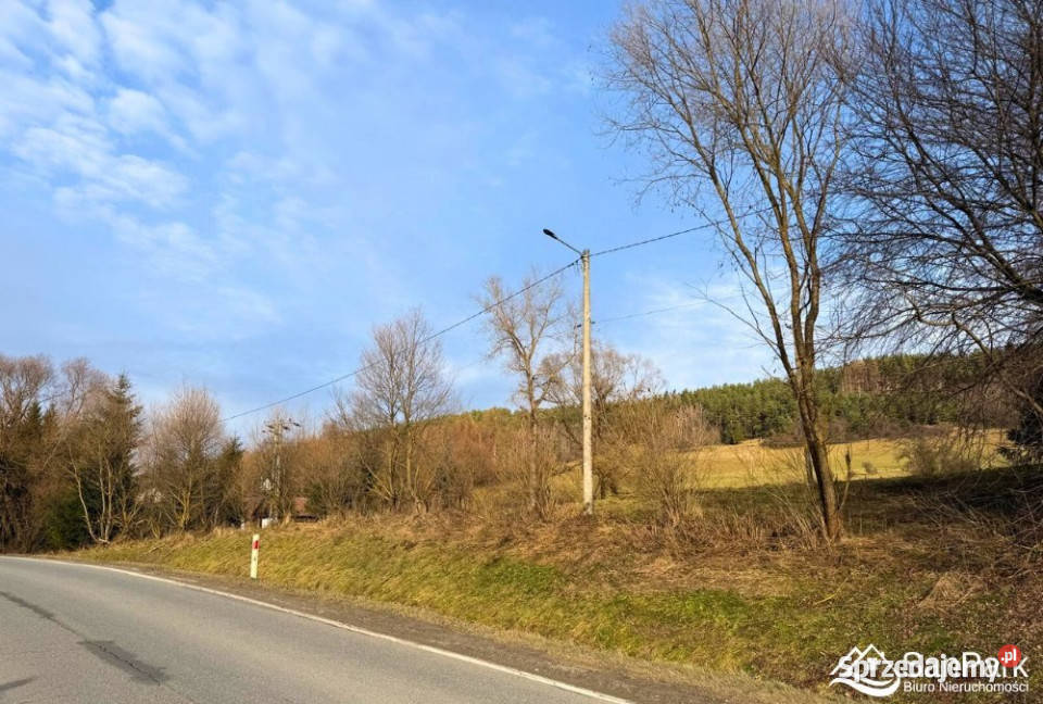 Działka 26273m2 Ustrzyki Dolne rolna