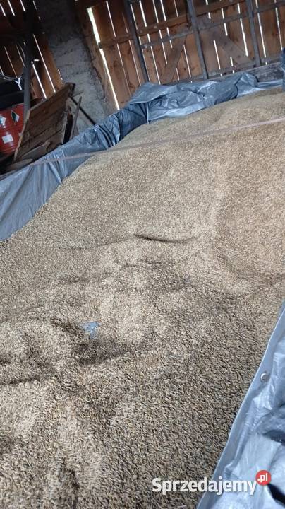 Sprzedam podkarpackie Winne-Podbukowina