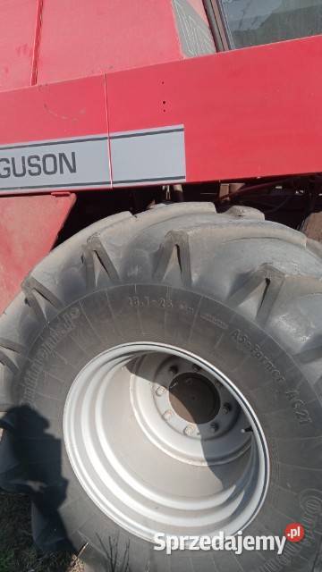 Kombajn zbożowy Massey Ferguson 29XP Września
