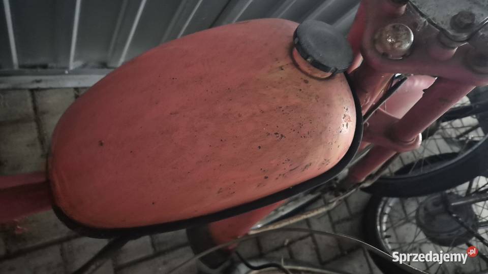 Komar zarejestrowany podlaskie Hryniewicze