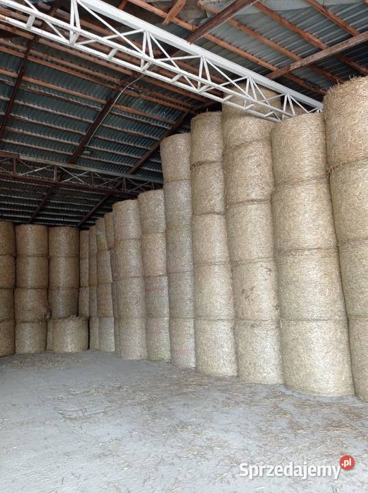 SŁOMA łódzkie Kutno