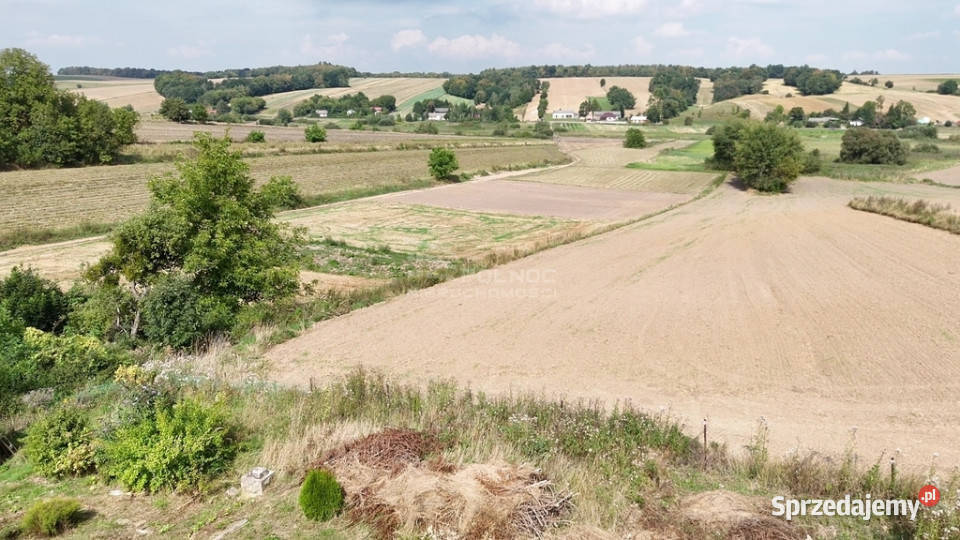 Przytulny dom wśród zieleni Zwiartów mieszkalny