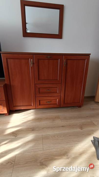 Meble do salonu Komody kujawsko-pomorskie