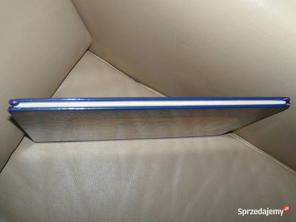 Przygody Guliwera i inne baśnie twarda Książki dla dzieci Warszawa