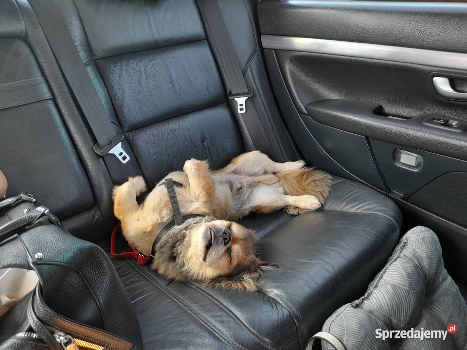 Sprzedam volvo 208km mazowieckie Płock sprzedam