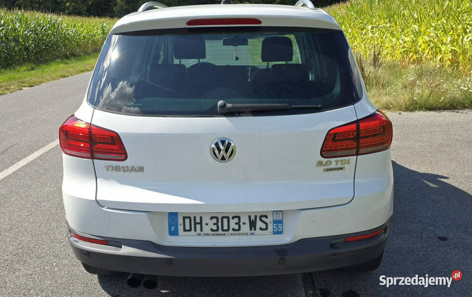 Volkswagen Tiguan 4x4 full stan b I 20072016 światła do jazdy dziennej Pleszew