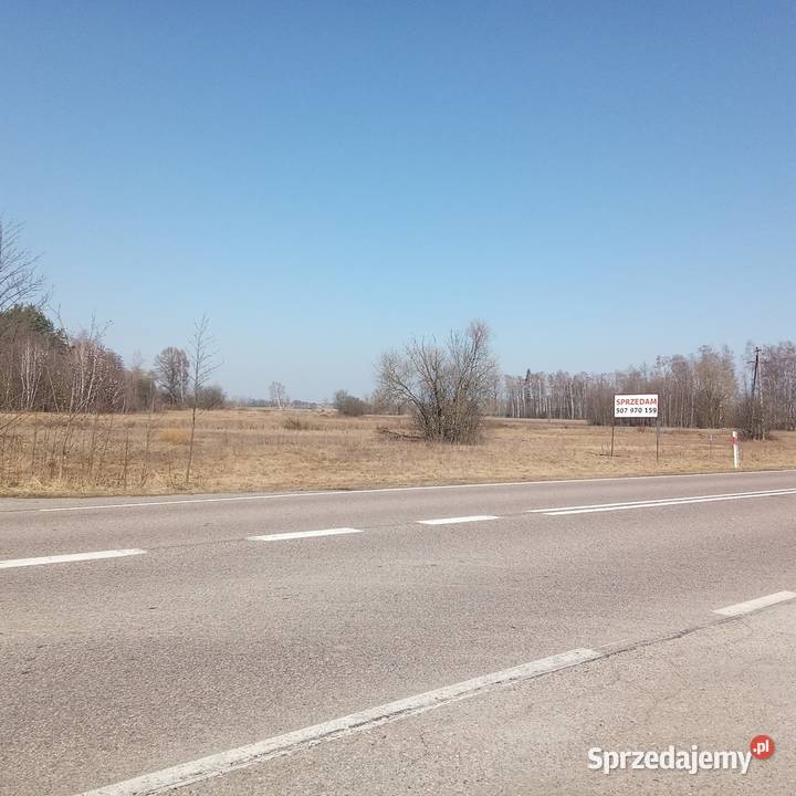 Zygmunty 3 028 m WZ dojazd asfalt siedliskowa Nieruchomości