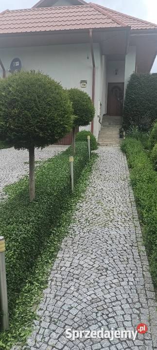 Nożyce do żywopłotu Bosch 5020 liion