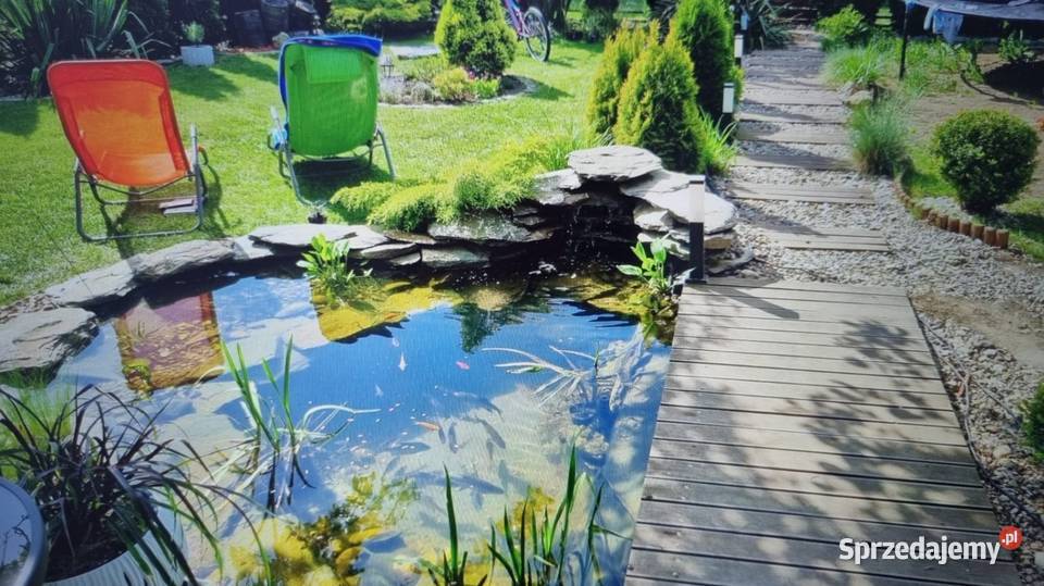 Działka Rod GRZYBIANY Legnica sprzedam
